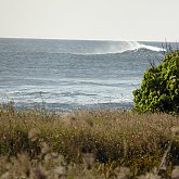 Waves